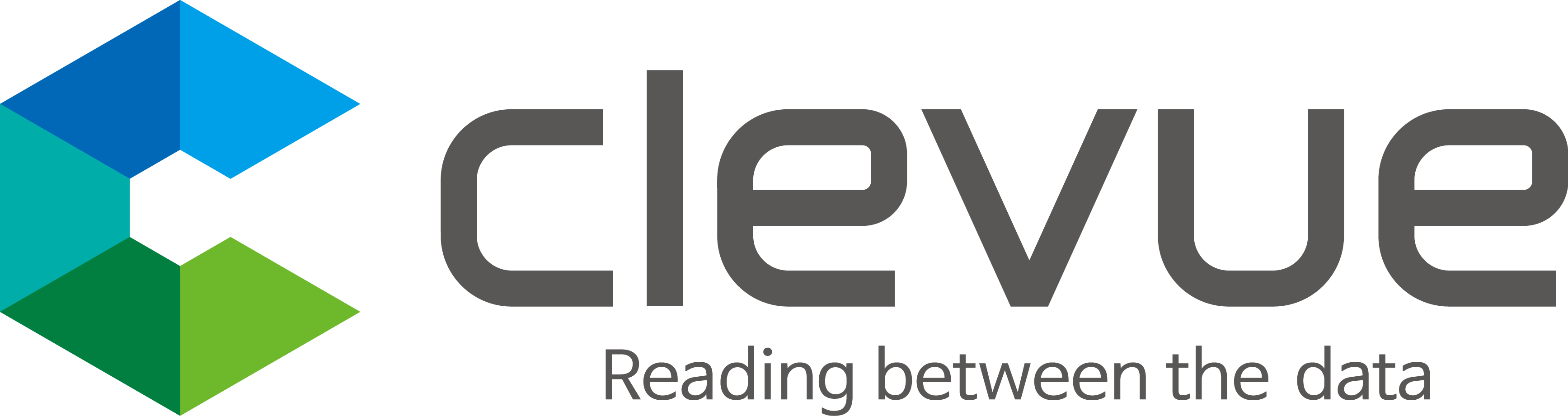 Clevue Inc.